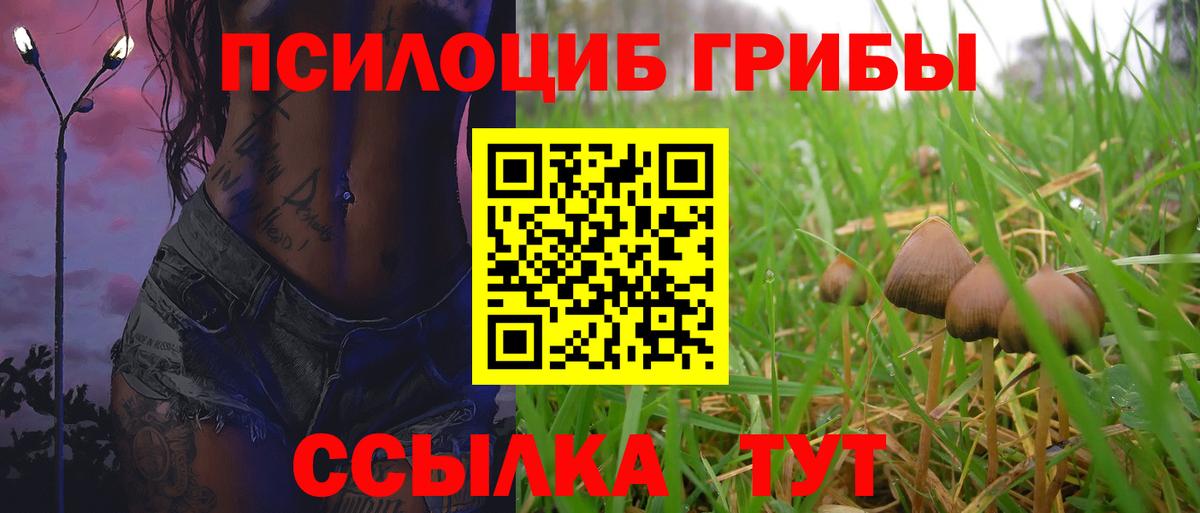 Псилоцибиновые грибы мицелий Верхний Уфалей